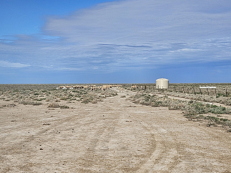A beige Polymaster rain water tank sitting on a dry Australian field