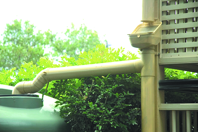 Polymaster leaf guard in action