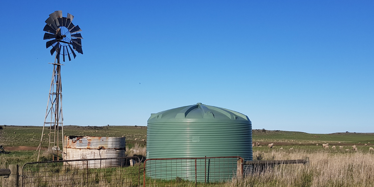 RWT22500 - In-Situ-Web (1 on a grazing field)